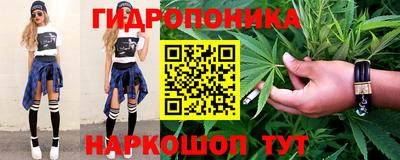 мет Дубна