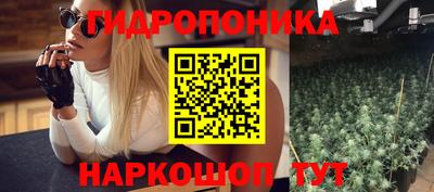 прущие грибы Донской
