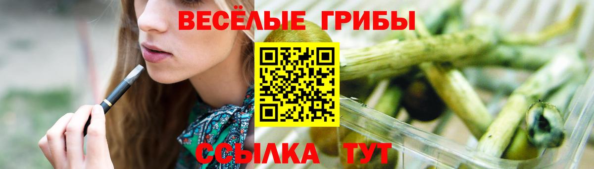 Менделеевск  Псилоцибиновые грибы прущие грибы  Вход с VPN  Псилоцибиновые грибы прущие грибы 